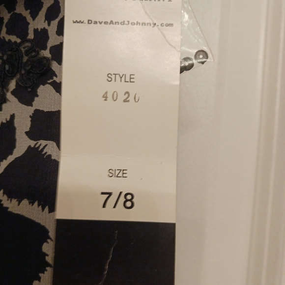 Beautiful Silk Gown. - Picture 7 of 16